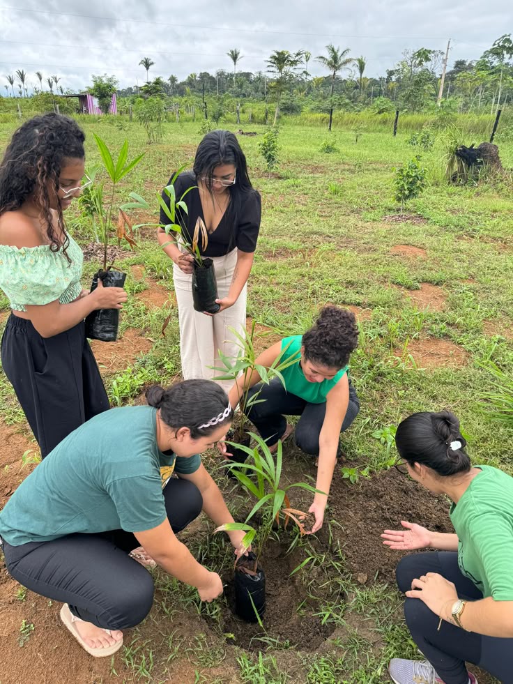Environmental professional reviewing soil samples